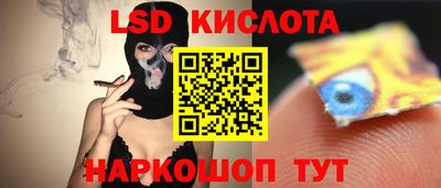 крисы Лесосибирск