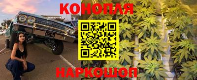 крисы Лесосибирск