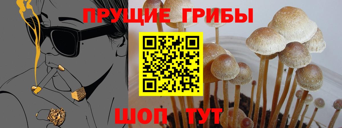 Псилоцибиновые грибы ЛСД  Вход с VPN  Вольск  Псилоцибиновые грибы Cubensis 